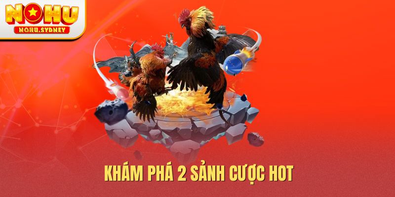 Khám phá 2 sảnh cược hot